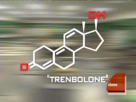 Anabolic steroids legal or illegal